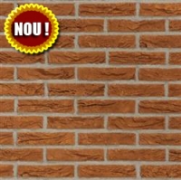 Click pentru detalii